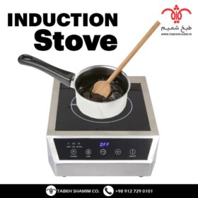 اجاق القایی یا اجاق اینداکشن مدل DIC3550