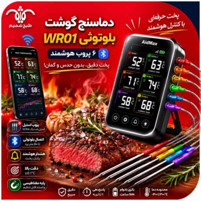 دماسنج گوشت بلوتوثی
