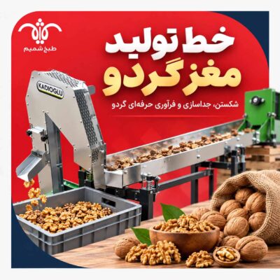 تولید مغز گردو
